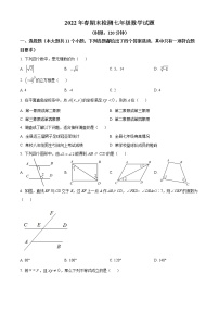 湖北省宜昌市长阳土家族自治县2021-2022学年七年级下学期期末数学试题(word版含答案)