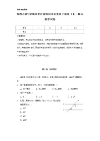 2021-2022学年黑龙江省黑河市逊克县七年级（下）期末数学试卷（Word解析版）