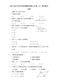 2021-2022学年河北省邯郸市魏县七年级（下）期末数学试卷(解析版)