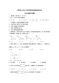 湖北省咸宁市崇阳县2021-2022学年七年级下学期期末考试数学试卷(含答案)