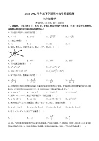 广西壮族自治区贺州市钟山县2021-2022学年七年级下学期期末数学试题