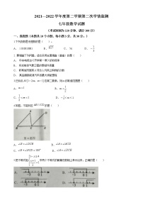 山东省济宁市金乡县2021-2022学年七年级下学期期末数学试题