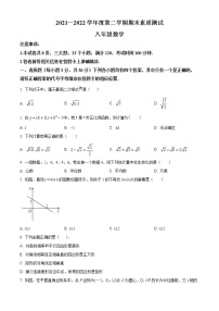 河南省驻马店市平舆县2021-2022学年八年级下学期期末数学试题