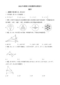 河南省南阳市南召县2021-2022学年七年级下学期期末数学试题