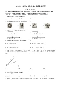 四川省成都市新都区2021-2022学年八年级下学期期末数学试题(word版含答案)