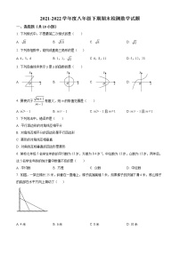 河南省信阳市淮滨县2021-2022学年八年级下学期期末数学试题(word版含答案)