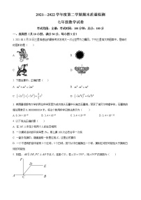 安徽省宿州市萧县2021-2022学年七年级下学期期末数学试题(word版含答案)