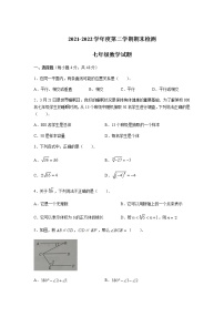 山东省德州市陵城区2021-2022学年七年级下学期期末考试数学试卷(含答案)