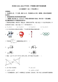 河南省鹤壁市淇滨区2021-2022学年七年级下学期期末数学试题(word版含答案)