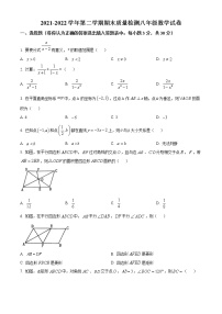 河南省洛阳市宜阳县2021-2022学年八年级下学期期末数学试题(word版含答案)