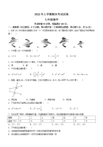 湖南省常德市澧县2021-2022学年七年级下学期期末数学试题(word版含答案)