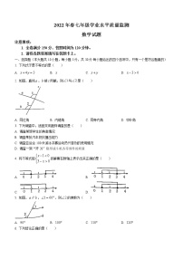 四川省广元市苍溪县2021-2022学年七年级下学期期末数学试题(word版含答案)