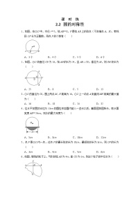 初中数学苏科版九年级上册2.2 圆的对称性当堂检测题