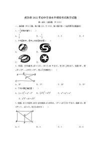 陕西省咸阳市武功县2022年初中学业水平模拟考试数学试卷(含答案)