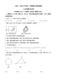 河北省邯郸市永年区2021-2022学年七年级下学期期末数学试题(word版含答案)