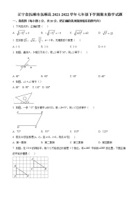 辽宁省抚顺市抚顺县2021-2022学年七年级下学期期末数学试题(word版含答案)