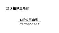 华师大版九年级上册1. 相似三角形备课ppt课件