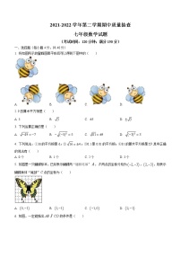 福建省龙岩市长汀县2021-2022学年七年级下学期期中数学试题(含答案)