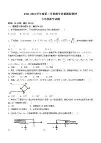 黑龙江省绥化市海伦市2021-2022学年七年级下学期期末数学试题(word版含答案)