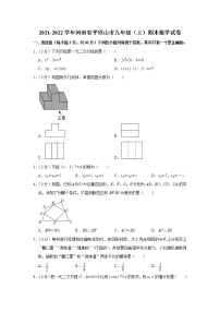 2021-2022学年河南省平顶山市九年级(上)期末数学试卷(含答案)