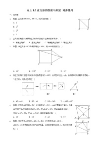 北师大版九年级上册3 正方形的性质与判定习题