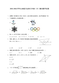 2021-2022学年云南省文山州八年级（下）期末数学试卷（Word解析版）