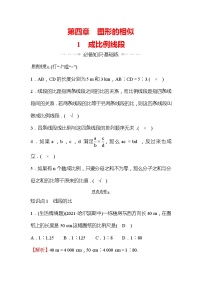 初中数学1 成比例线段当堂检测题