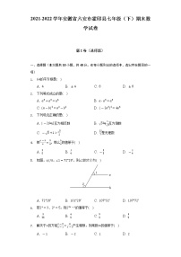 2021-2022学年安徽省六安市霍邱县七年级（下）期末数学试卷（Word解析版）