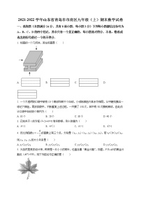 九年级数学上册北师版·山东省青岛市市南区期末试卷附答案