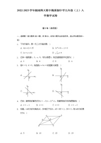 2022-2023学年湖南师大附中梅溪湖中学九年级（上）入学数学试卷（Word解析版）