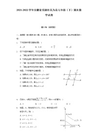 2021-2022学年安徽省芜湖市无为县七年级（下）期末数学试卷（Word解析版）