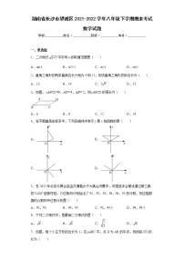 湖南省长沙市望城区2021-2022学年八年级下学期期末考试数学试题(含答案)