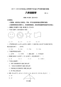 初中数学8上2017-2018学年山东省临沂市三区八年级上期中水平质量数学试题及答案练习含答案