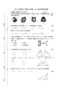 初中数学8上期中试卷练习含答案