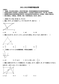 福建省南平市建瓯市芝华中学2021-2022学年中考适应性考试数学试题含解析