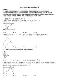 福建省南平市建瓯市芝华中学2021-2022学年中考适应性考试数学试题含解析