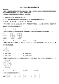 福建省龙文区2021-2022学年中考猜题数学试卷含解析