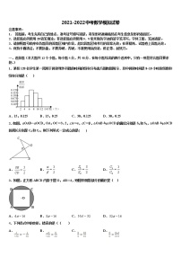 福建省莆田市哲理中学2022年中考数学最后冲刺模拟试卷含解析