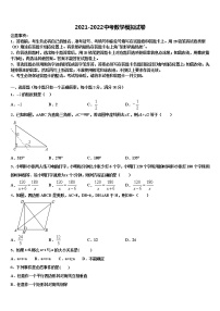 福建省龙岩市第二中学2021-2022学年中考数学仿真试卷含解析