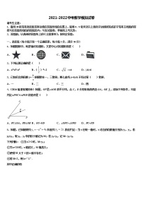 东省济宁市金乡县2022年中考二模数学试题含解析