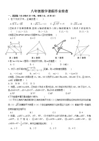 浙江省台州市椒江区书生中学2022-2023学年八年级上学期暑假作业检查数学试题（Word版含答案）