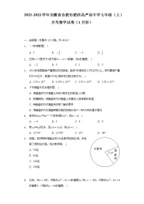 2021-2022学年安徽省合肥市肥西县严店中学七年级（上）月考数学试卷（1月份）（含解析）