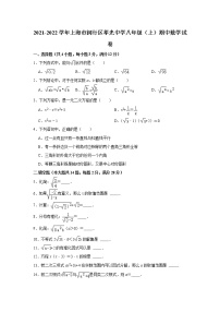 上海市闵行区莘光中学2021-2022学年八年级上学期期中数学试卷