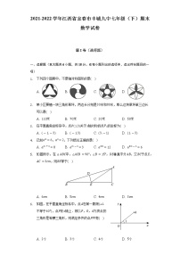 2021-2022学年江西省宜春市丰城九中七年级（下）期末数学试卷（含解析）