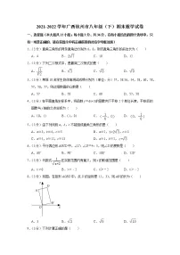 2021-2022学年广西钦州市八年级（下）期末数学试卷(含答案)