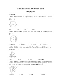 人教版数学九年级上册专项培优练习十四《圆周角定理》（含答案）