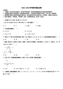 杠杆专题-新疆哈密市第四中学2021-2022学年中考联考数学试题含解析