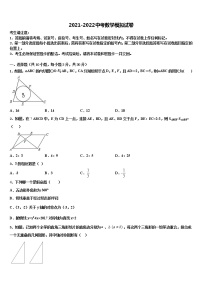 广州市从化区从化七中度重点名校2022年中考数学押题试卷含解析