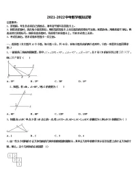 广西省河池市2022年初中数学毕业考试模拟冲刺卷含解析