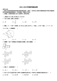 广东省肇庆市高要区金利镇朝阳实验校2022年中考数学仿真试卷含解析